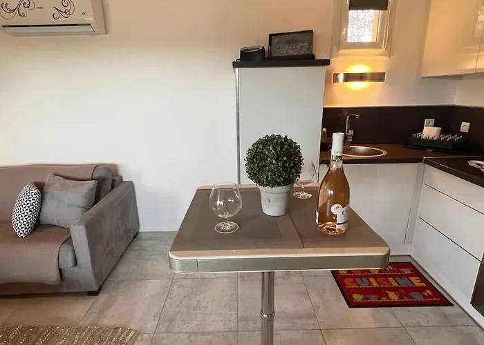 شقة 4 Pers Vue Sur La Baie De Santa Giulia