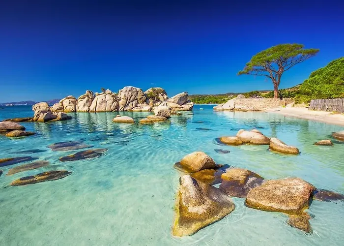 Апартаменты 4 Pers Vue Sur La Baie De Santa Giulia