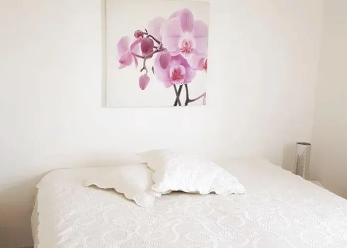 4 Pers Vue Sur La Baie De Santa Giulia *